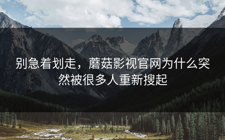 别急着划走，蘑菇影视官网为什么突然被很多人重新搜起  第1张