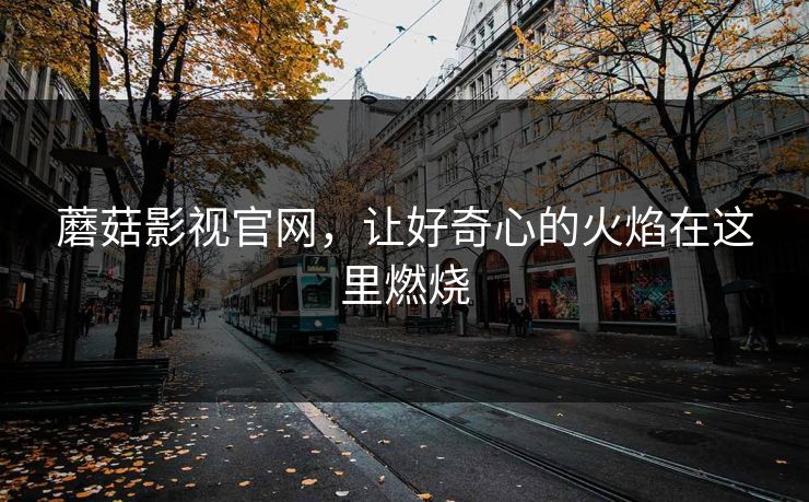 蘑菇影视官网，让好奇心的火焰在这里燃烧  第1张