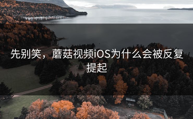 先别笑，蘑菇视频iOS为什么会被反复提起  第1张