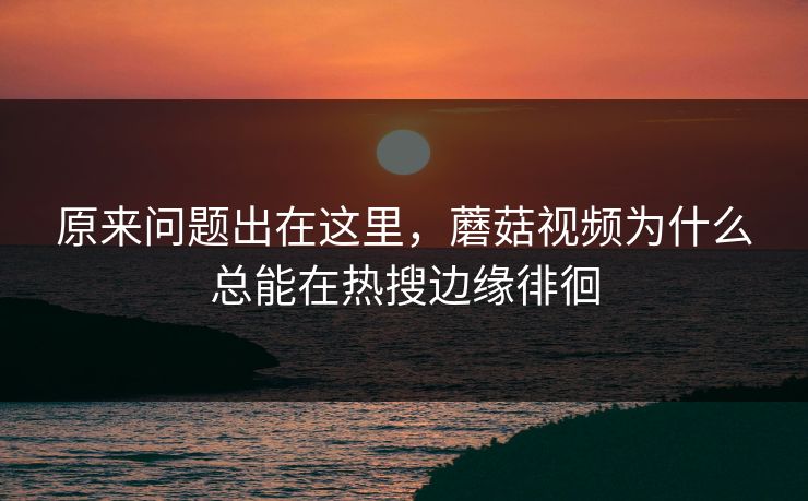 原来问题出在这里，蘑菇视频为什么总能在热搜边缘徘徊  第1张