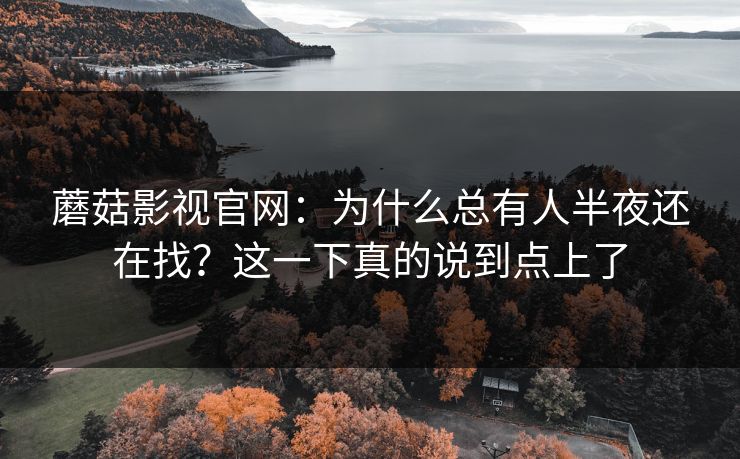 蘑菇影视官网:为什么总有人半夜还在找?这一下真的说到点上了 第1张 蘑菇影视官网:为什么总有人半夜还在找?这一下真的说到点上了 第1张