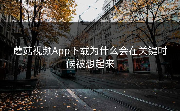 蘑菇视频App下载为什么会在关键时候被想起来 第1张 蘑菇视频App下载为什么会在关键时候被想起来 第1张