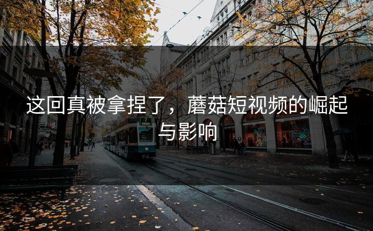 这回真被拿捏了，蘑菇短视频的崛起与影响  第1张