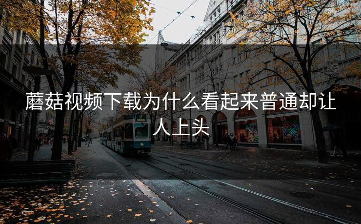 蘑菇视频下载为什么看起来普通却让人上头 第1张 蘑菇视频下载为什么看起来普通却让人上头 第1张