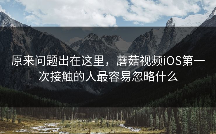 原来问题出在这里，蘑菇视频iOS第一次接触的人最容易忽略什么  第1张