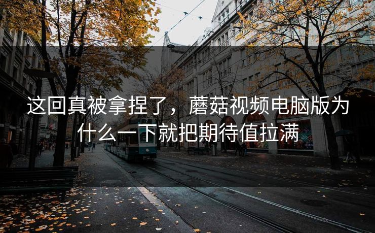这回真被拿捏了，蘑菇视频电脑版为什么一下就把期待值拉满