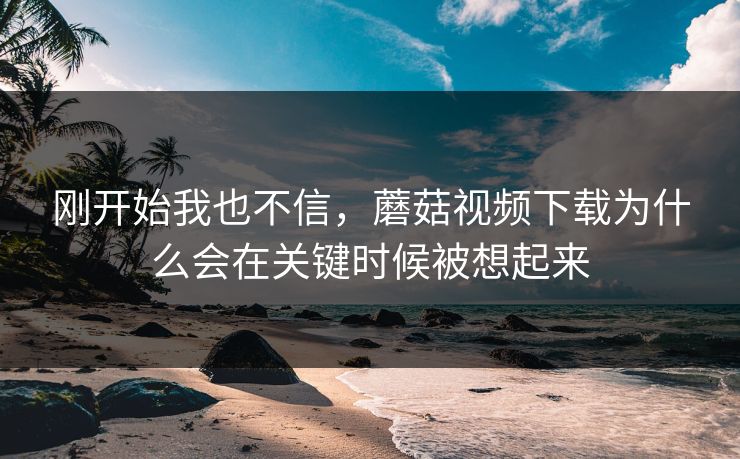 刚开始我也不信，蘑菇视频下载为什么会在关键时候被想起来