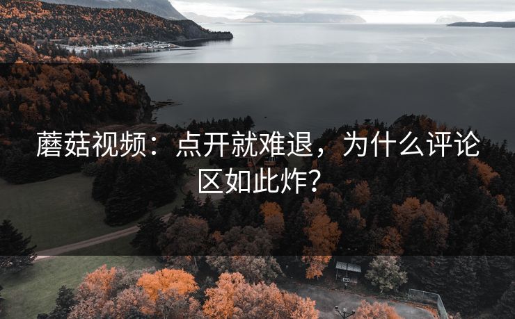 蘑菇视频：点开就难退，为什么评论区如此炸？
